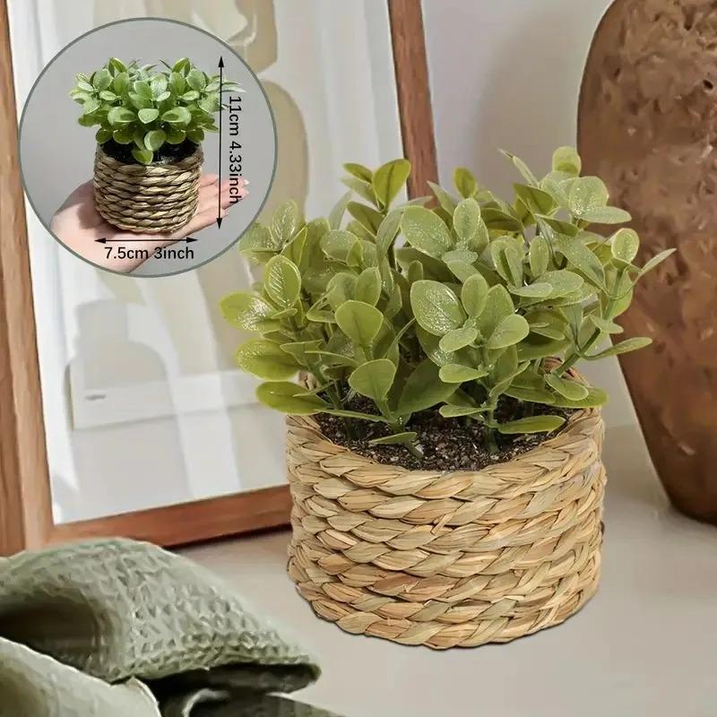 1Pc Potplant Kleine Nepplanten - Home Office Layout recensie en prijs