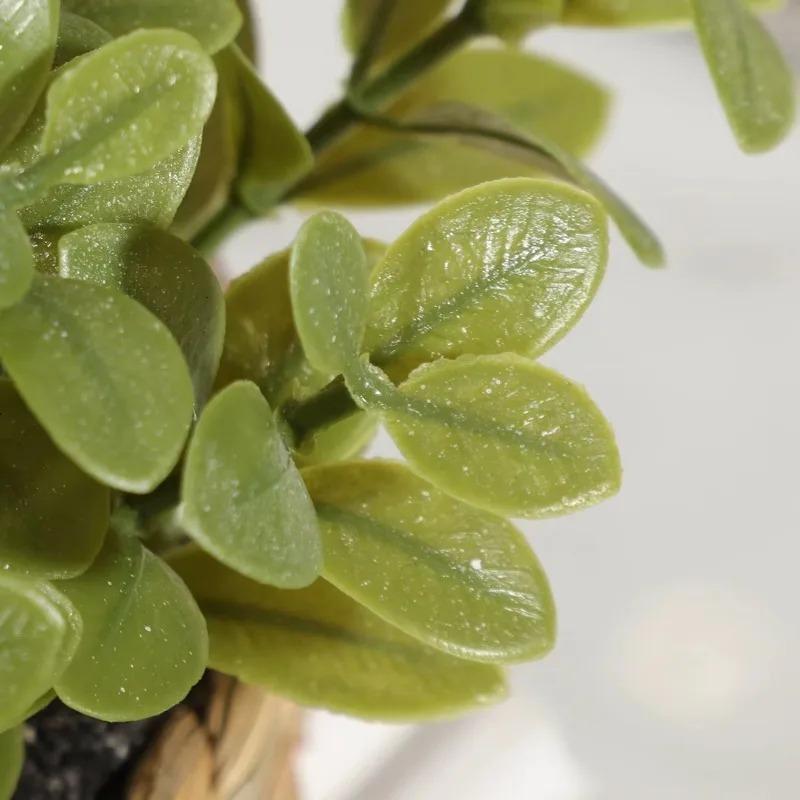 1Pc Potplant Kleine Nepplanten - Home Office Layout recensie en prijs